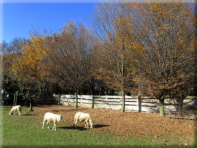 foto Alle pendici del Monte Grappa in Autunno